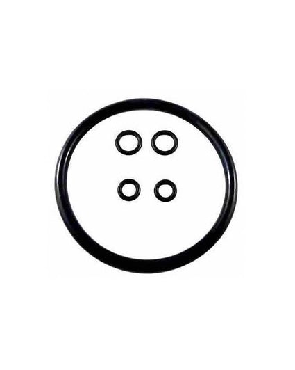 19L Corny Ball Lock Seal Kit