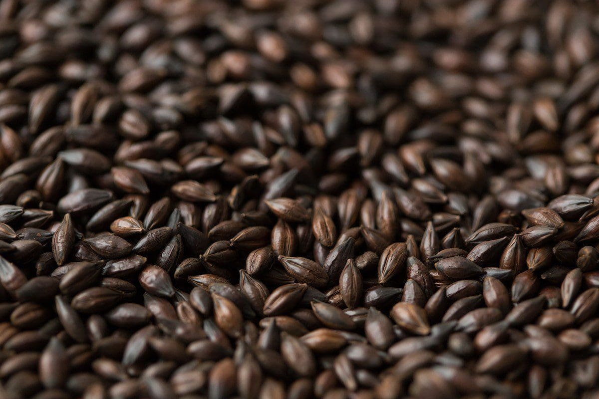 Dark Chocolate Malt (Gladfield) per 100g