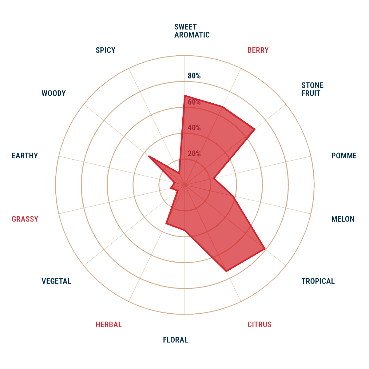 IDAHO 7 T90 FINISHING HOPS