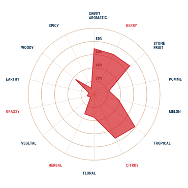 IDAHO 7 T90 FINISHING HOPS