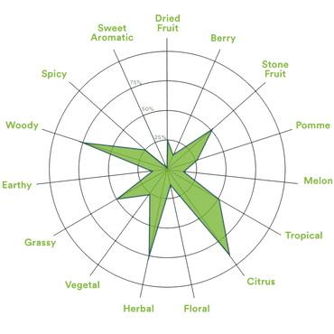 MOTUEKA T90 FINISHING HOPS 50g
