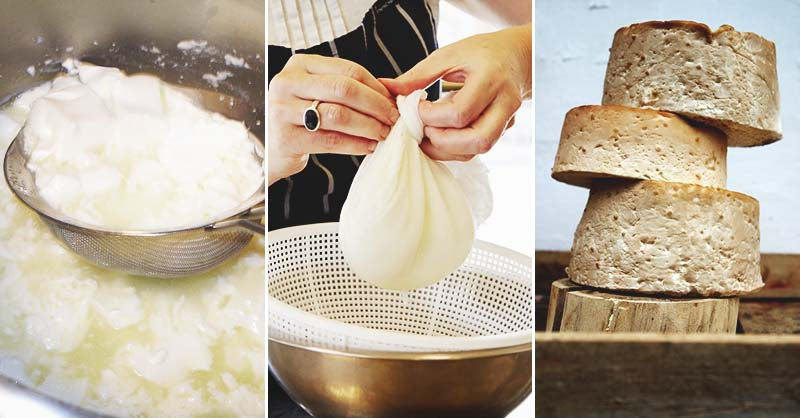 Cheese Making – Better Brewer