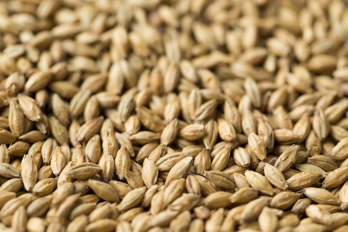 Lager Light Malt (Gladfield) 25kg