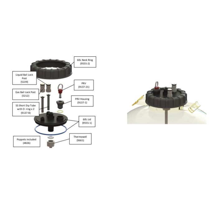 Apollo 30L Unitank Pressure Fermenter