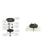 Apollo 30L Snub Nose Pressure Fermenter