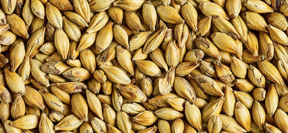 Maris Otter Malt (Simpsons Malt) 25Kg