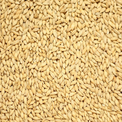 Golden Promise (Simpsons Malt) Per 25Kg
