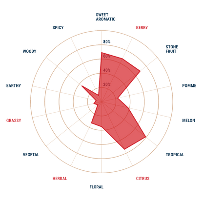 IDAHO 7 T90 FINISHING HOPS