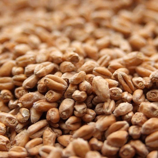 Peat Smoked Malt (Gladfield) per 100g